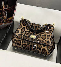 new-designer-premium-bags-nm6877