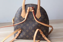 new-elite-designer-bags-nm5241