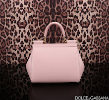 new-designer-premium-bags-nm7004