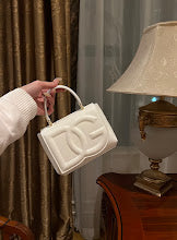 new-designer-premium-bags-nm6749