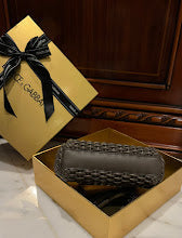 new-designer-premium-bags-nm6899
