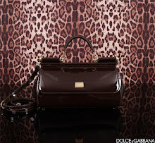 new-luxury-designer-bags-nm6960