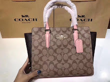 new-luxury-designer-bags-nm6370