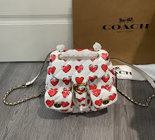 new-designer-premium-bags-nm6636