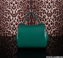 new-luxury-designer-bags-nm6966
