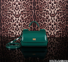new-designer-premium-bags-nm6965
