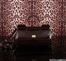 new-luxury-designer-bags-nm6960