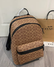 new-luxury-designer-bags-nm6555