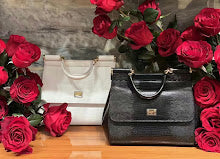new-elite-designer-bags-nm6674