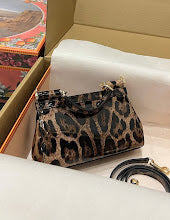 new-designer-premium-bags-nm6694