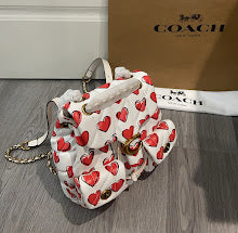 new-designer-premium-bags-nm6636