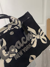 new-designer-premium-bags-nm6492