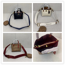 new-designer-premium-bags-nm6511