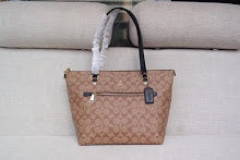 new-designer-premium-bags-nm6390