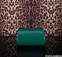 new-designer-premium-bags-nm6965