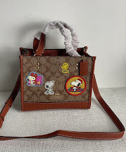 new-designer-premium-bags-nm6588