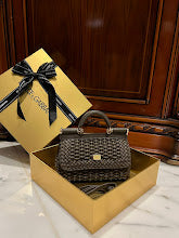 new-designer-premium-bags-nm6899
