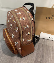 new-designer-premium-bags-nm6278