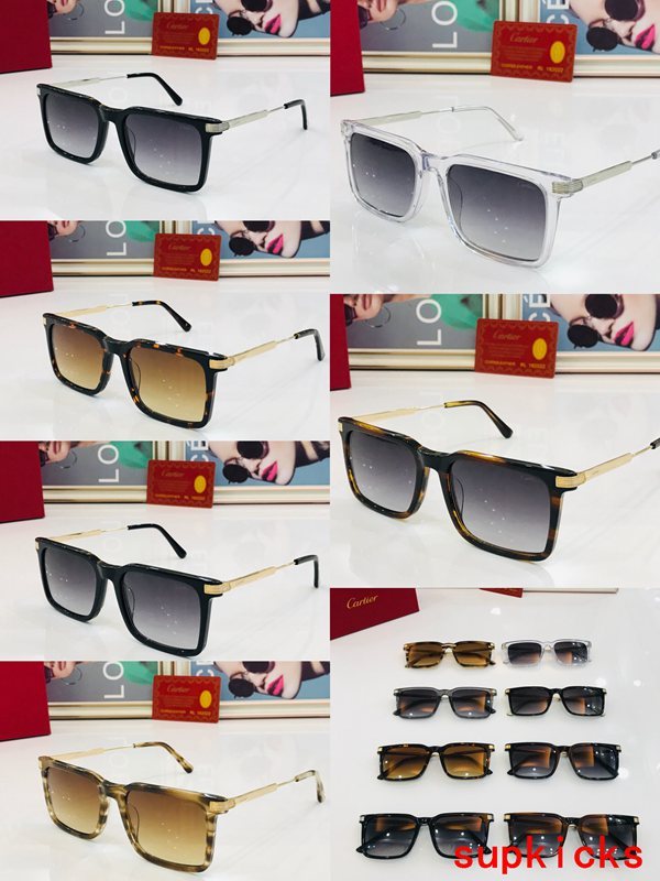 Cartier Luxury Sunglasses