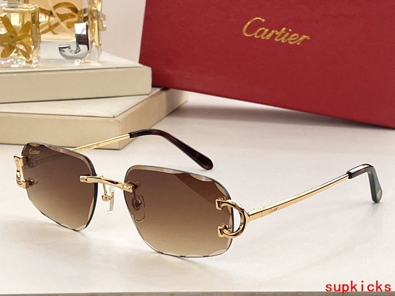 Cartier Luxury Sunglasses