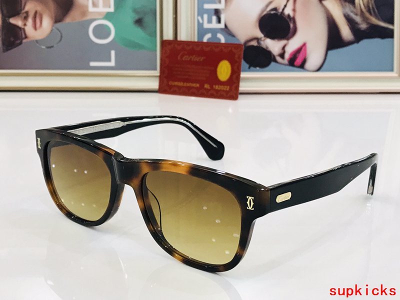 Cartier Luxury Sunglasses