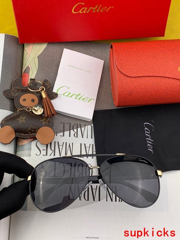 Cartier Luxury Sunglasses