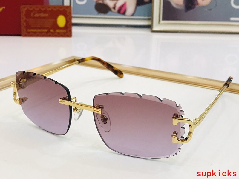 Cartier Luxury Sunglasses