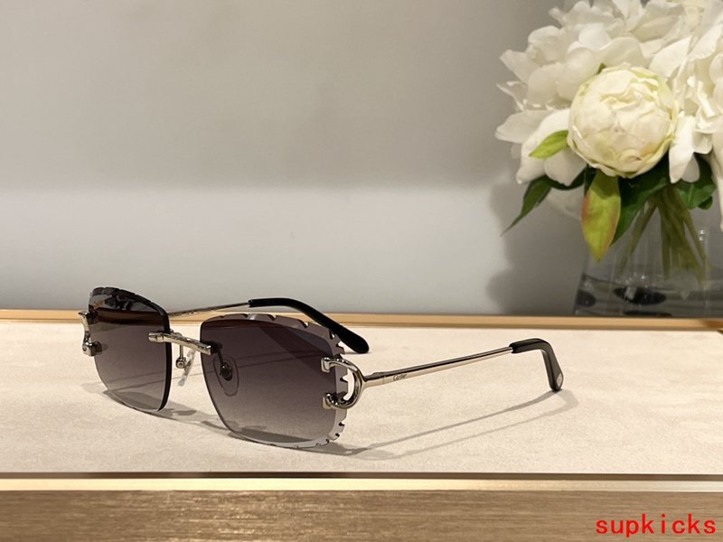 Cartier Luxury Sunglasses