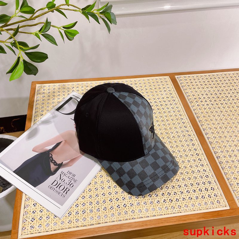 Louis Vuitton Luxury Cap