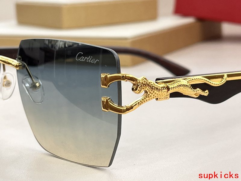 Cartier Luxury Sunglasses