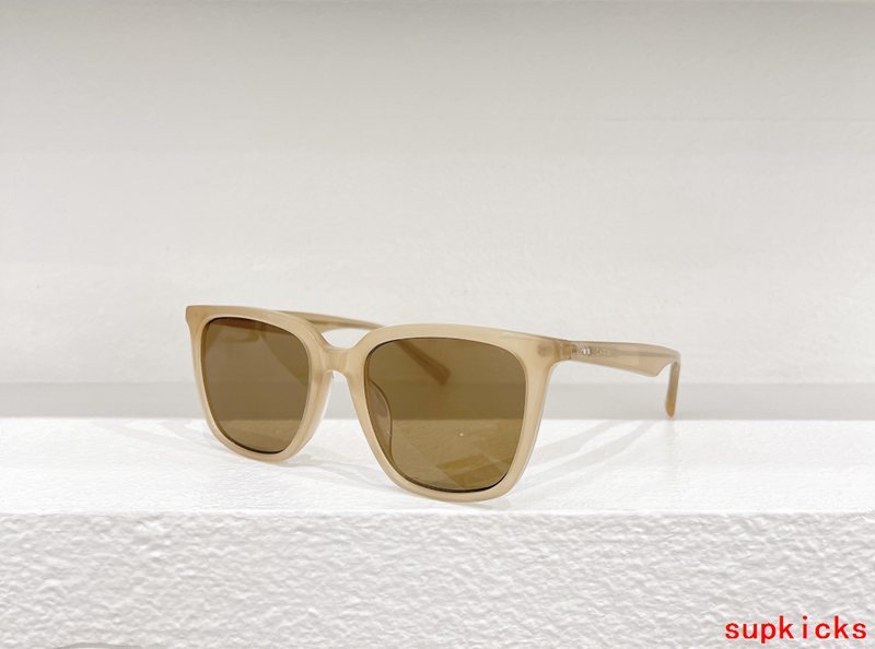 Louis Vuittion Luxury Sunglasses