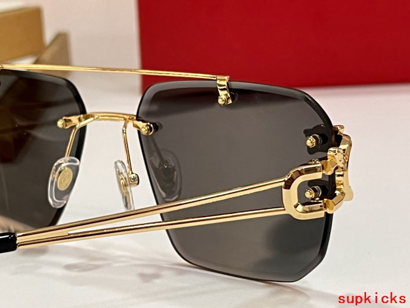 Cartier Luxury Sunglasses
