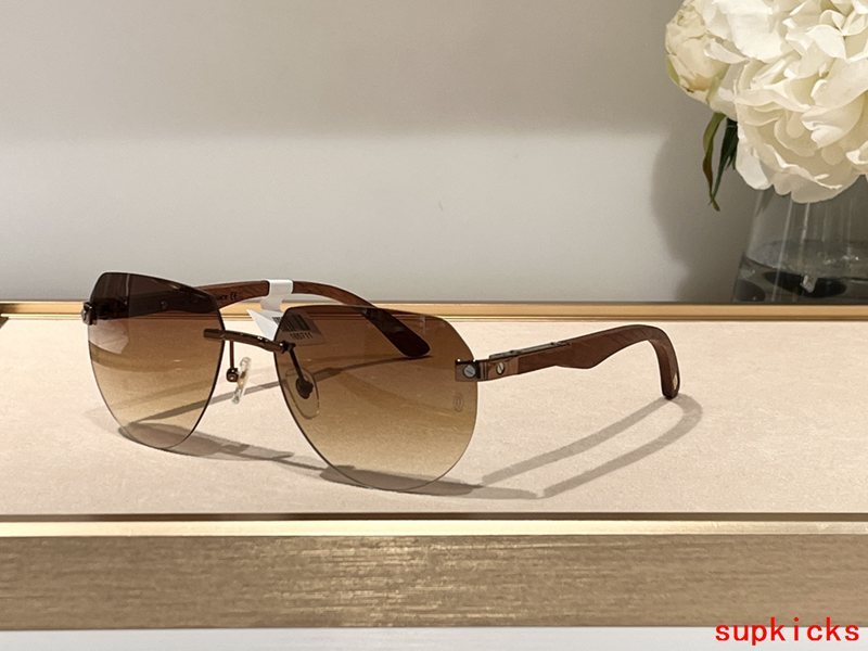 Cartier Luxury Sunglasses