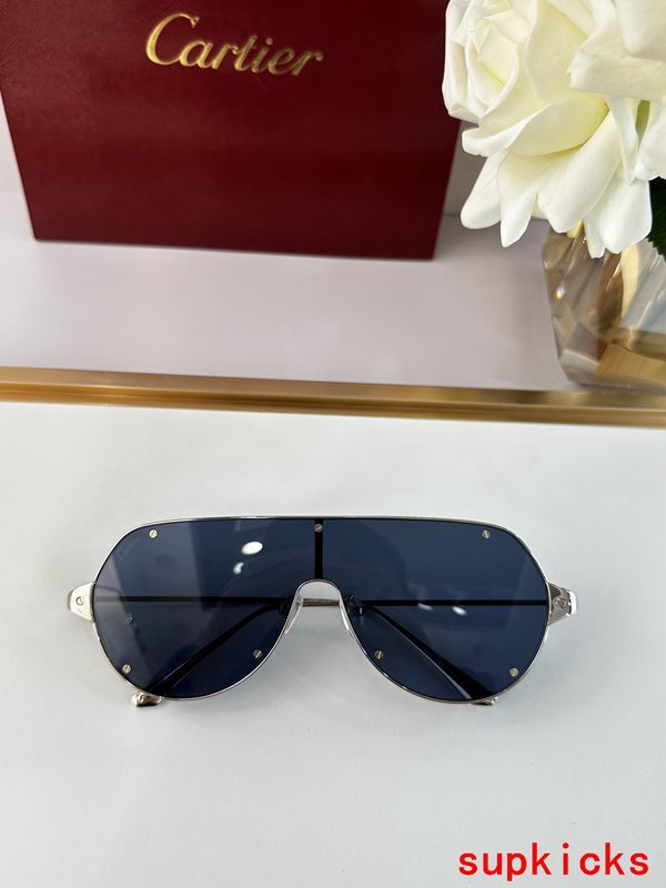 Cartier Luxury Sunglasses