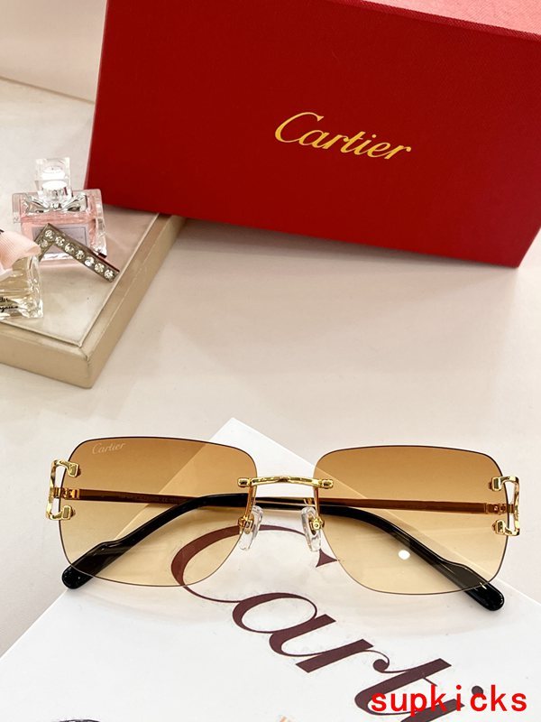 Cartier Luxury Sunglasses