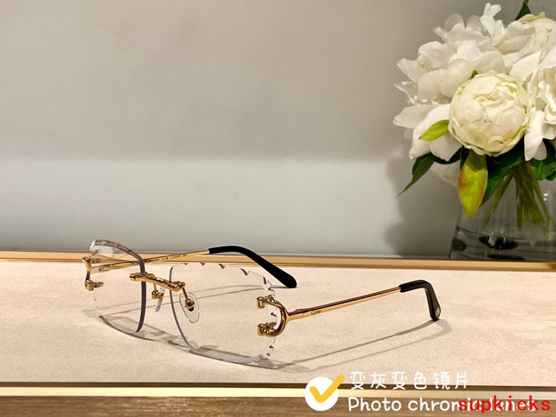 Cartier Luxury Sunglasses