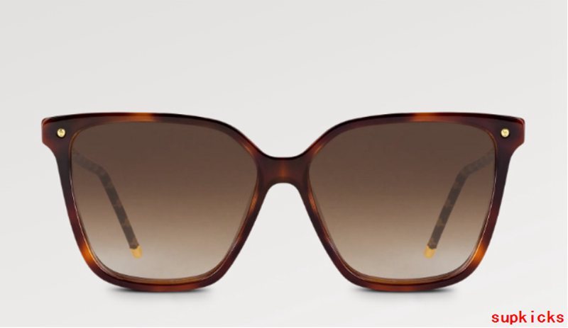 Louis Vuittion Luxury Sunglasses
