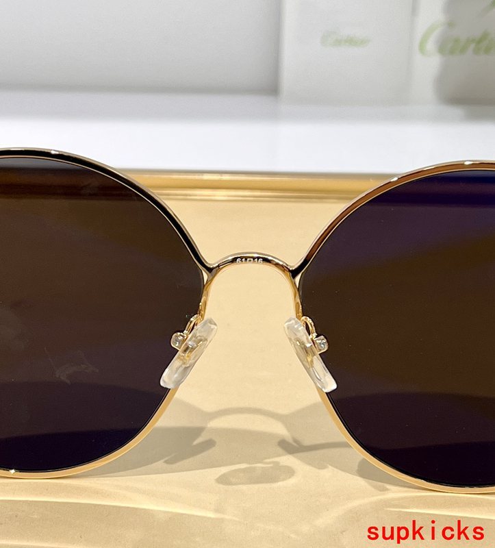 Cartier Luxury Sunglasses