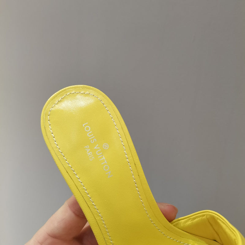 Louis Vuittion Luxury Shoes