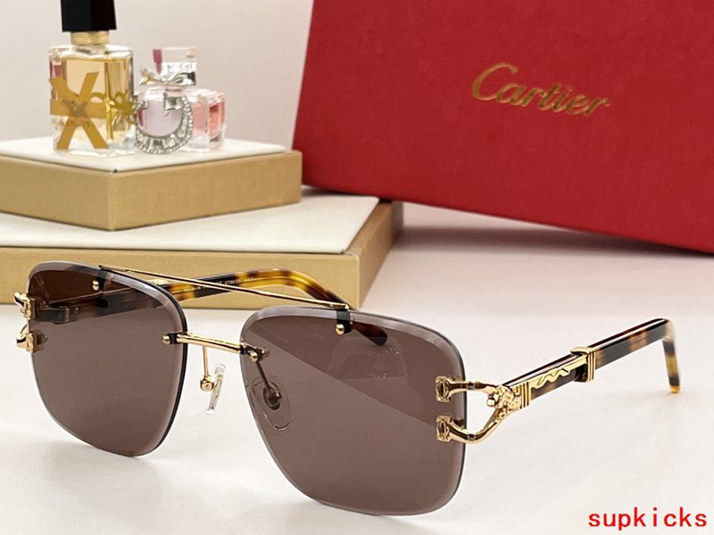 Cartier Luxury Sunglasses