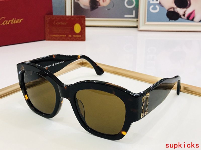 Cartier Luxury Sunglasses