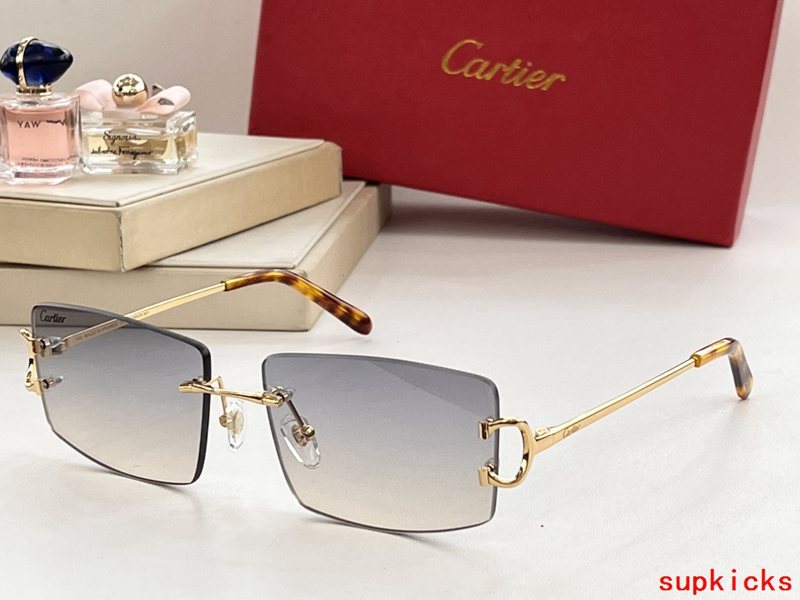 Cartier Luxury Sunglasses