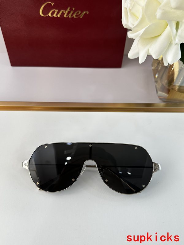 Cartier Luxury Sunglasses