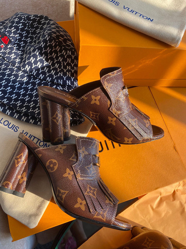 Louis Vuittion Luxury Shoes
