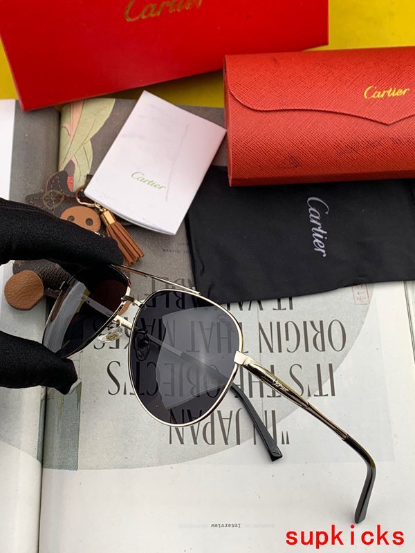 Cartier Luxury Sunglasses