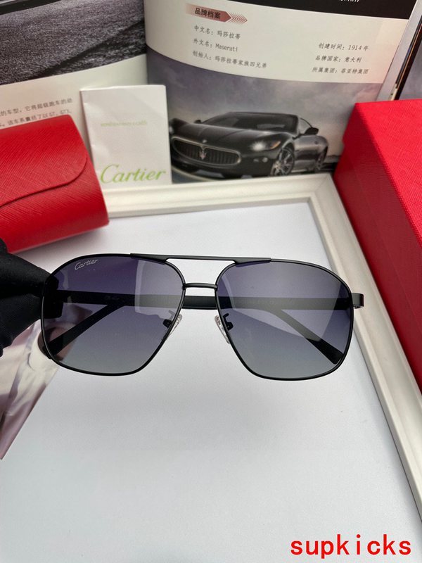 Cartier Luxury Sunglasses