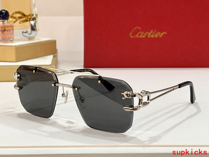 Cartier Luxury Sunglasses