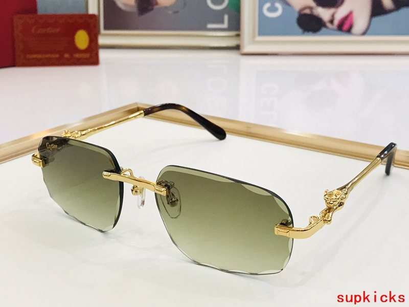 Cartier Luxury Sunglasses
