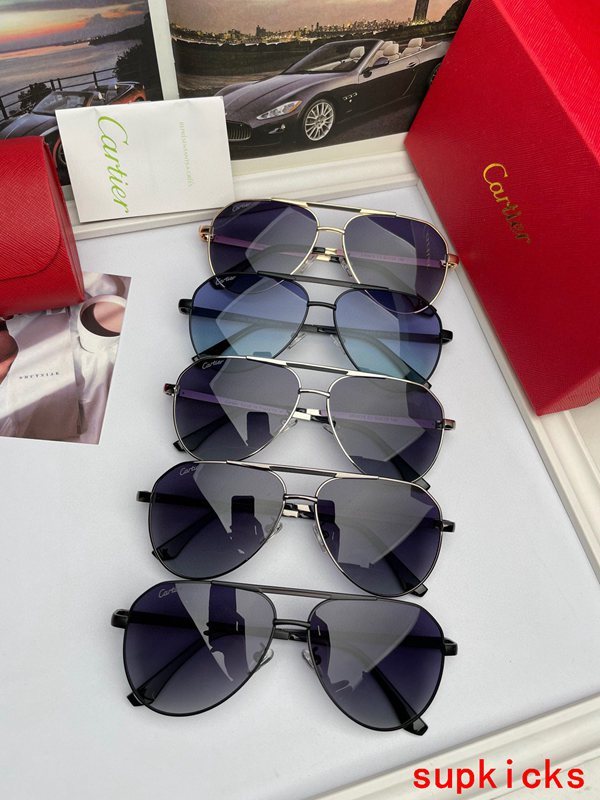Cartier Luxury Sunglasses