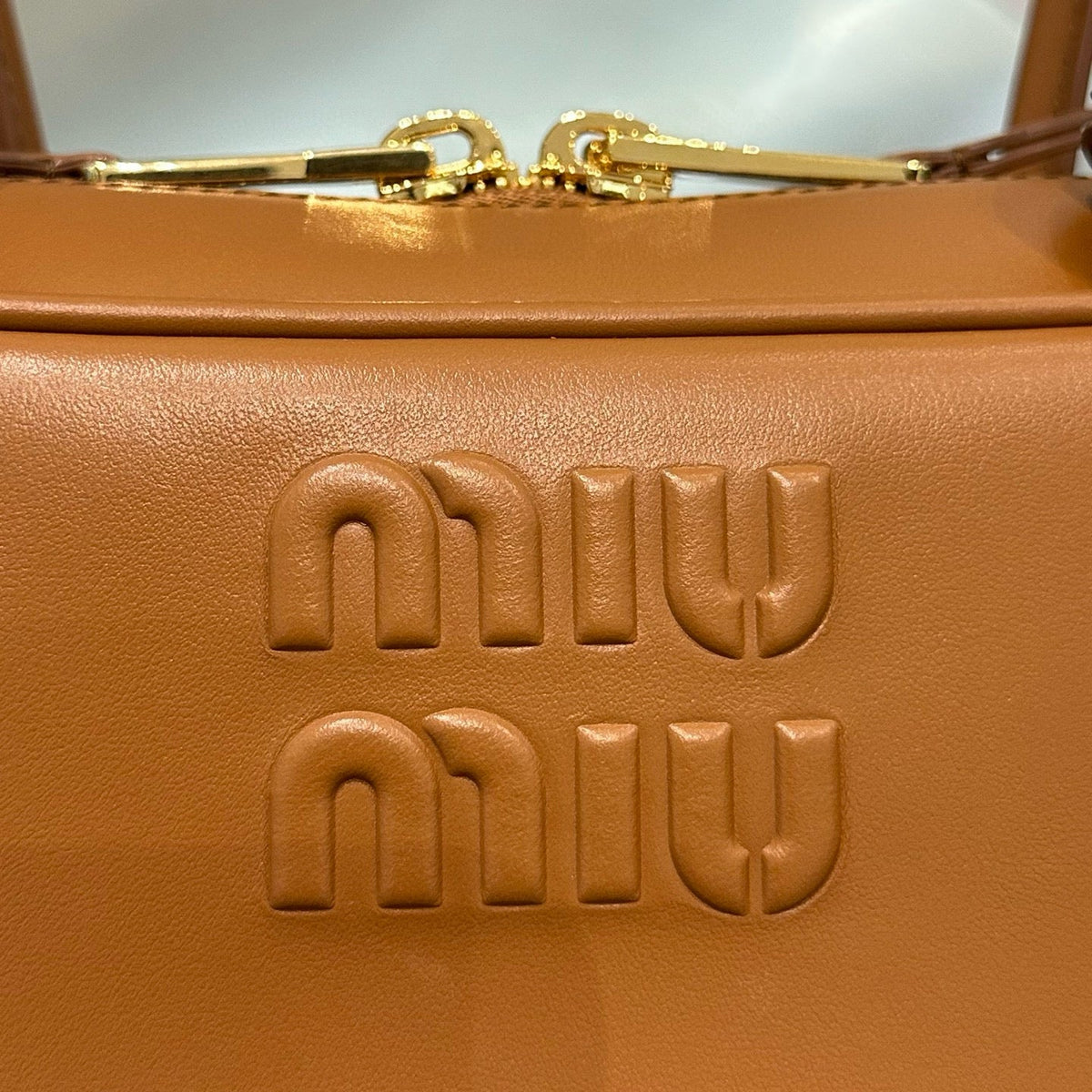 MIU M BEAU BAG